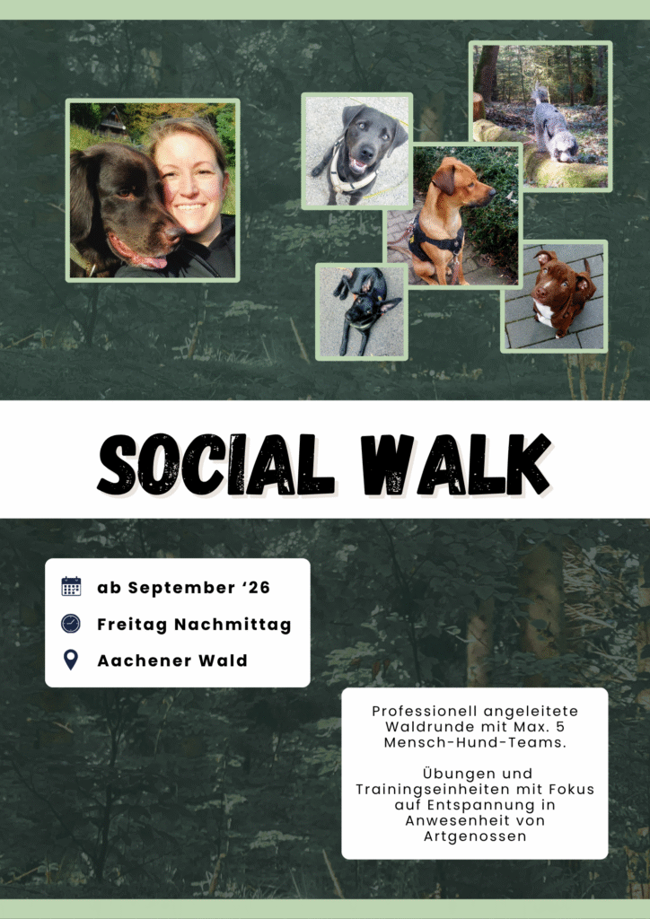 Flyer für den Social Walk in Aachen