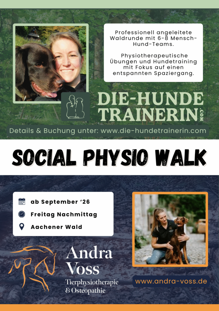 Flyer für den Physio-Social Walk mit Hund in Aachen